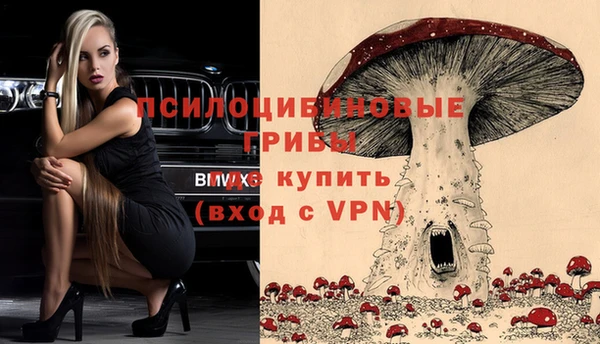 соль ск Алзамай