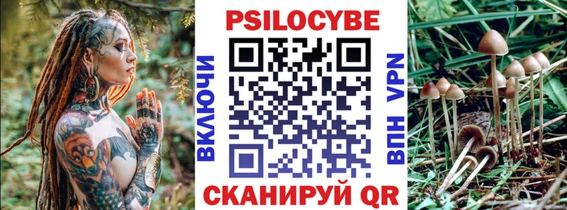 кракен tor  Камешково  Галлюциногенные грибы GOLDEN TEACHER 