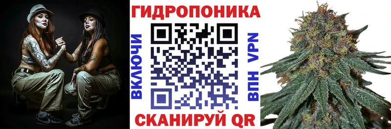 MEGA ONION  Камешково  Канабис конопля 